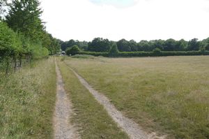 Photo 3- click for photo gallery